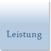Leistung